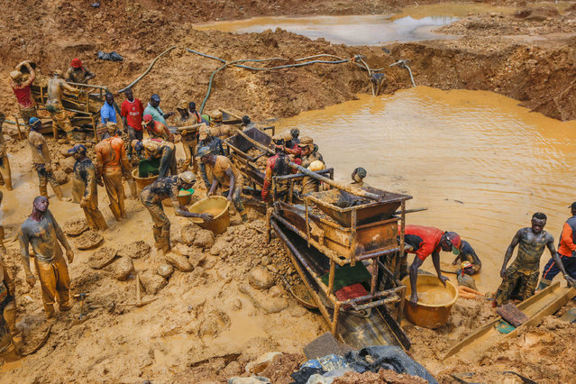 The dilemma! China now exporting cocoa to Europe, the same European Union is planning to ban cocoa export from Ghana because of galamsey activities. 60
