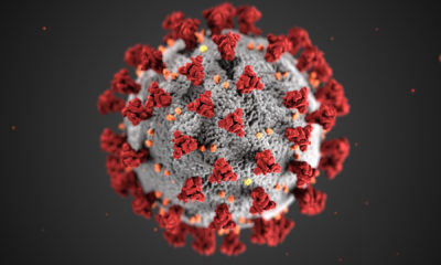 coronavirus