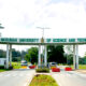 knust