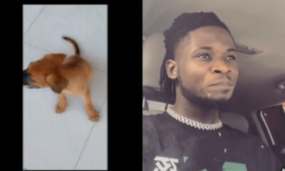Broken Hearted Kuami Eugene Composes A Song For His Dead Dog. 55