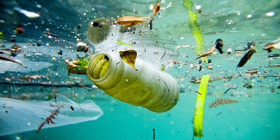 There's 14 Million Metric Tons Of Microplastics Sitting On The Seafloor, study Reveals. 49
