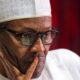 Nigerian Senate Orders State Protocol To Stop Buhari From Medical Trips Outside Africa. 50