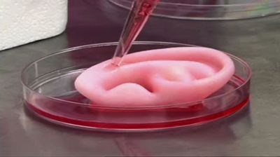 Printed human body parts could soon be available for transplant. 49