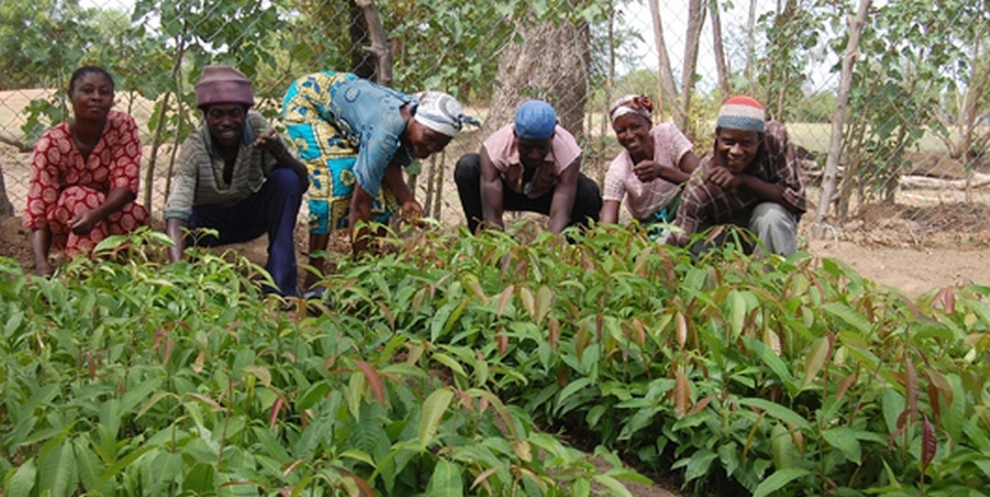 Farmers to boycott work for Agric Minister-designate's vetting 51