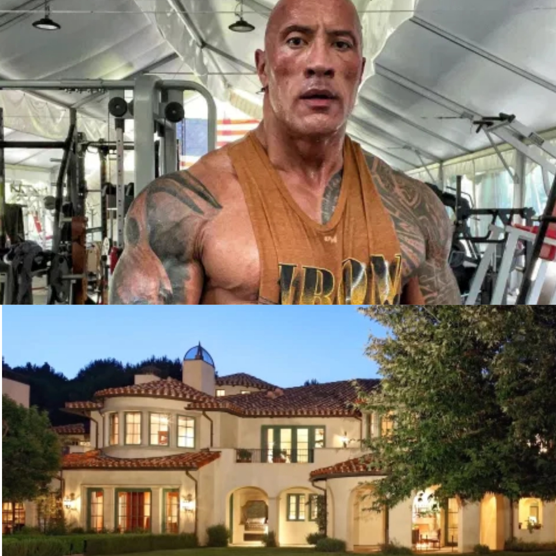 Inside The Rock's newly acquired $27.8m mansion. 60