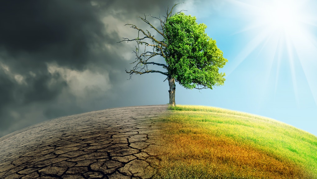 What cities will be most affected by climate change? 1