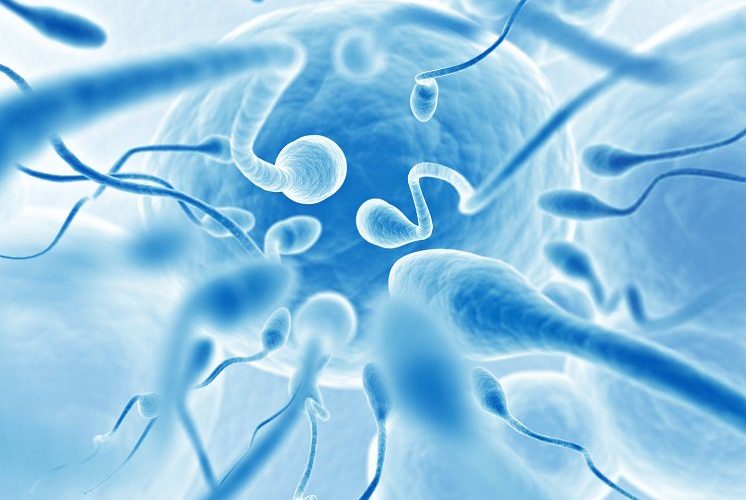 Male fertility: how everyday chemicals are destroying sperm counts in humans. 45