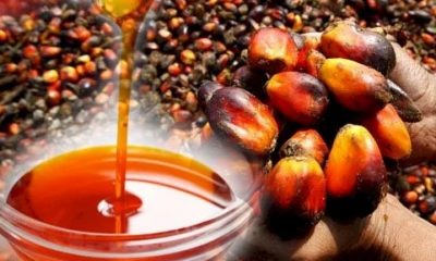 30% of palm oils on Ghanaian markets fail FDA’s nationwide zero Sudan dye test. 50