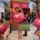 Woman with biggest boobs in the world flaunts her goodies - VIDEO. 75