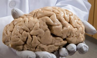 Mind-blowing facts about the human brain. 49