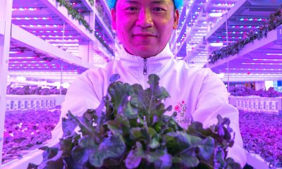 Meet The High-Tech Urban Farmer Growing Vegetables Inside Hong Kong’s Skyscrapers. 45