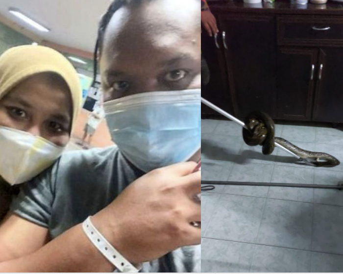 Snake bites man's bum while he was sitting on the toilet and pressing his phone. 45