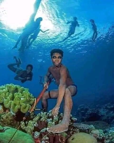 Why the people of Bajau tribe has larger spleens than the rest of the world. 60