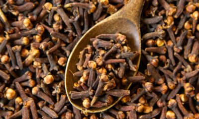 From flavor to health: The surprising nutritional value of cloves 72