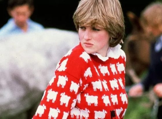 Million-dollar sweater: Bids pour in for Princess Diana's sheep jumper 120