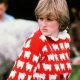 Million-dollar sweater: Bids pour in for Princess Diana's sheep jumper 53