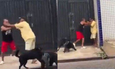 Two men fighting in the street in Belém as their dogs also get caught in the altercation.