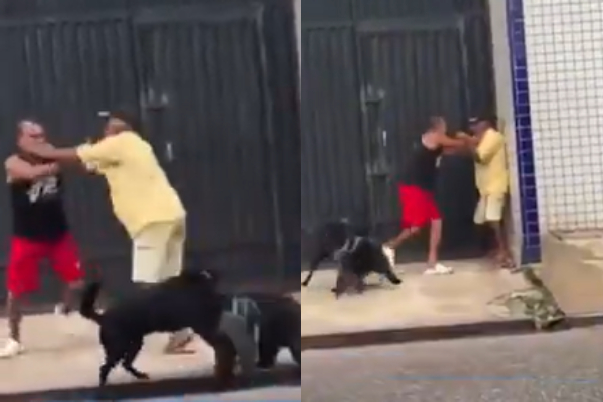 Two men fighting in the street in Belém as their dogs also get caught in the altercation.