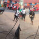 Two men exchange punches in a heated street fight as bystanders attempt to separate them.