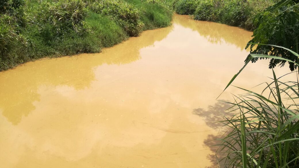 Environmental groups and community members protest illegal diversion of the Birim River at Apapam.