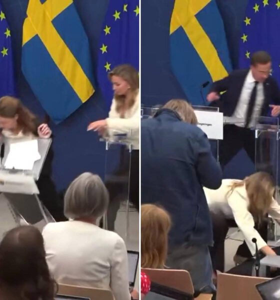 Sweden’s new health minister Elisabet Lann collapsed during a live press conference, just a day after taking office.