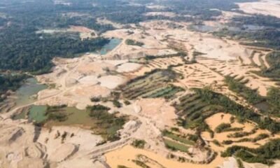 Polluted river and damaged forest caused by illegal mining in Ghana