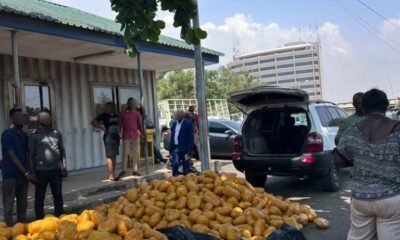 Tema Regional Police displaying seized suspected narcotic parcels after Akosombo-Tema road operation